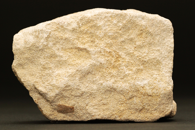 Limestone is made from the shells of millions of tiny sea creatures.